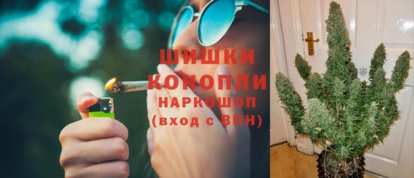 мдпв Володарск