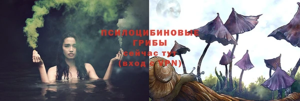 мдпв Володарск