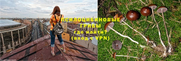 тгк Волоколамск