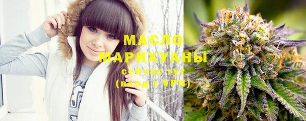 мдпв Володарск
